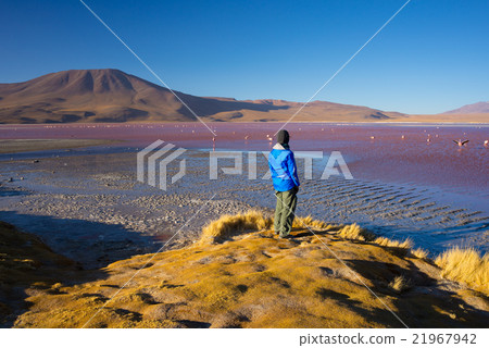 Tourist at "Laguna Colorada" on the Bolivian Andes 21967942