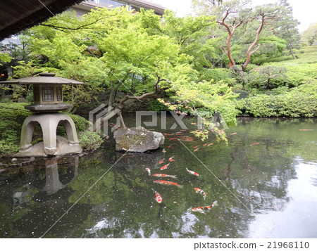 新鮮的綠色日本庭院 新鮮的綠色日本庭院 21968110