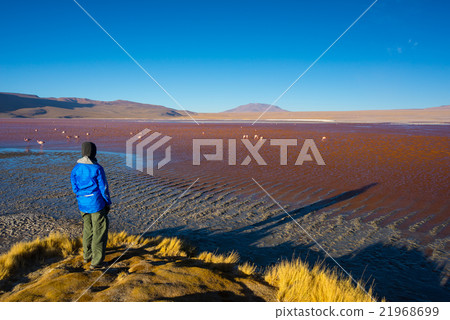Tourist at "Laguna Colorada" on the Bolivian Andes Tourist at "Laguna Colorada" on the Bolivian Andes 21968699