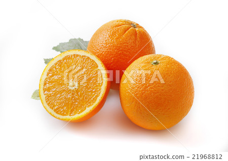 臍橙 21968812