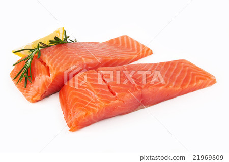 salmon salmon 21969809