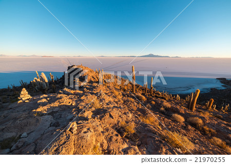 Uyuni Salt Flat on the Bolivian Andes at sunrise 21970255