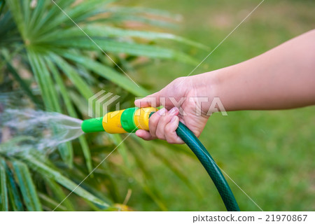 watering the garden. 21970867