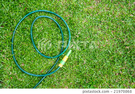 Rubber tube in the garden. 21970868