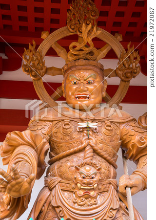 Mayuka Tomari 21972087