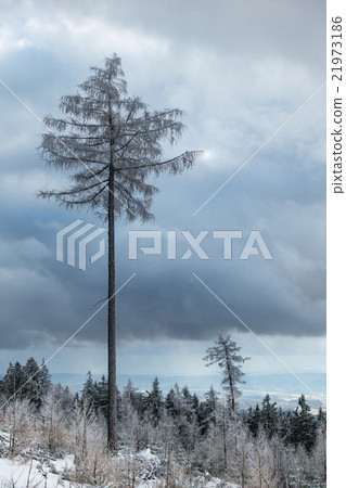 Winter in the mountains Winter in the mountains 21973186