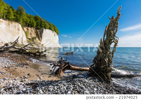 Chalk cliff on the island Ruegen Chalk cliff on the island Ruegen 21974025
