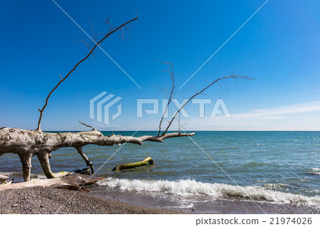 Baltic Sea coast on the island Ruegen Baltic Sea coast on the island Ruegen 21974026