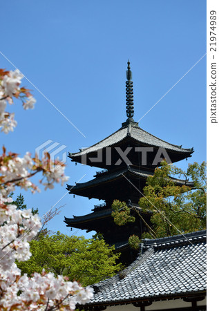 Ninnaji Ole room (2016.4) Ninnaji Ole room (2016.4) 21974989