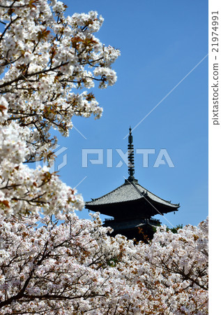 Ninnaji Ole房間（2016.4） 21974991