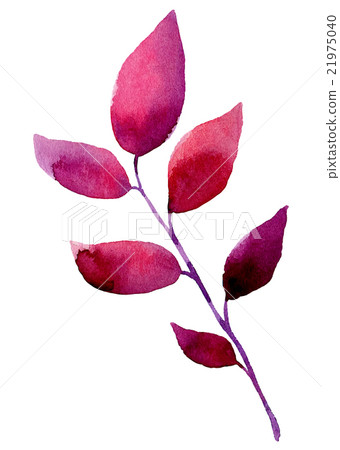 Watercolor leaf elements for design. 21975040