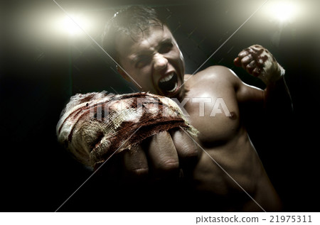 street fighter 21975311