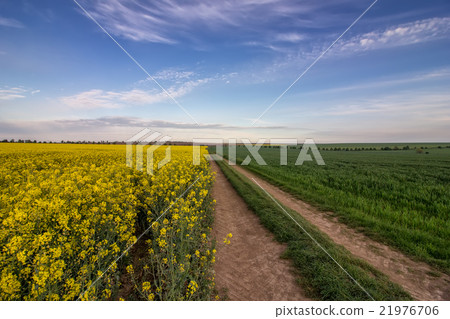 beauty country road beauty country road 21976706