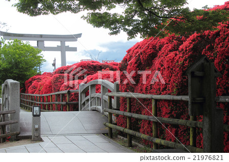 Kirishima of Kyoto Nagaoka Tenman-gu Shrine 21976821