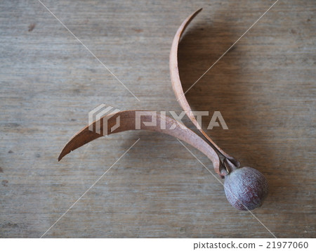 Futata postcard 21977060