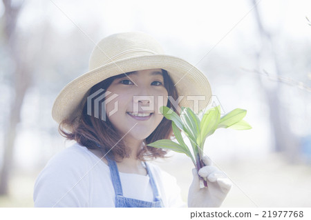 Taking wild vegetables Taking wild vegetables 21977768