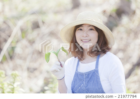 採取野菜 採取野菜 21977794
