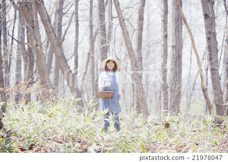 A woman who takes wild vegetables 21978047