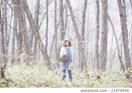 A woman who takes wild vegetables 21978048