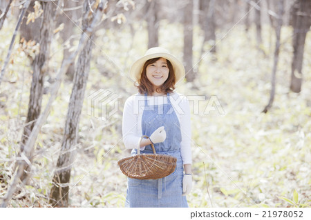 A woman who takes wild vegetables A woman who takes wild vegetables 21978052