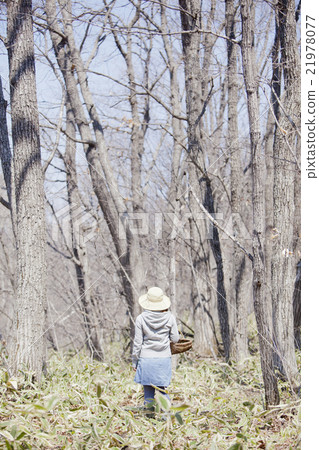 A woman who takes wild vegetables 21978077