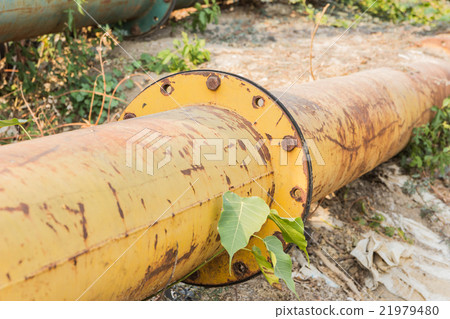 Stopcock on the pipe among grass beneath 21979480