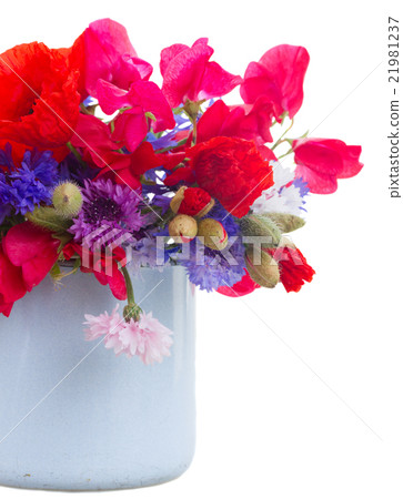 Poppy, sweet pea and corn flowers Poppy, sweet pea and corn flowers 21981237
