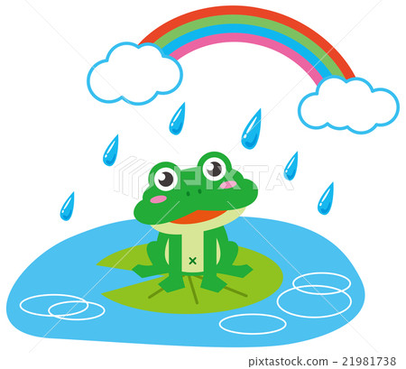 Rainy frog and rainbow 21981738