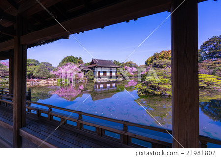 京都平安神宮神宮靖國神社服飾櫻花 京都平安神宮神宮靖國神社服飾櫻花 21981802