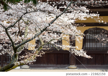 Spring of Nanzenji Spring of Nanzenji 21982150
