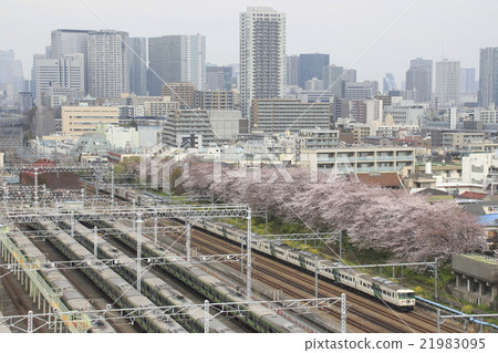 Spring Yamanote line garage and limited express dancer 21983095