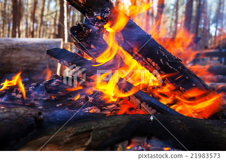 Bonfire Bonfire 21983573