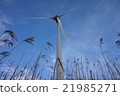 風車 21985271