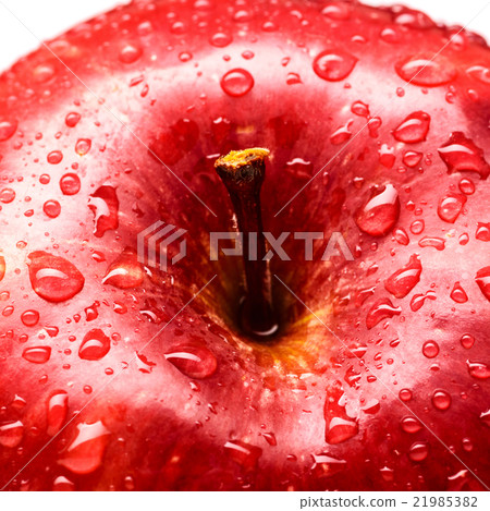 wet red delicious apple 21985382