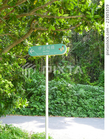 沖繩縣黑馬 21985859