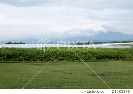 風車 風車 21985876