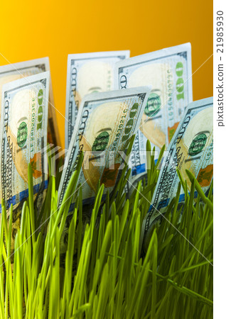 One dollar bills in green grass 21985930