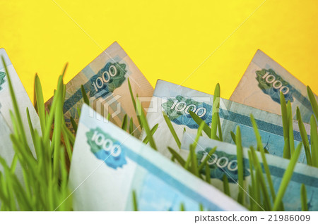Money growth Money growth 21986009