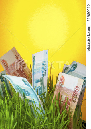 Ruble banknotes in green grass Ruble banknotes in green grass 21986010