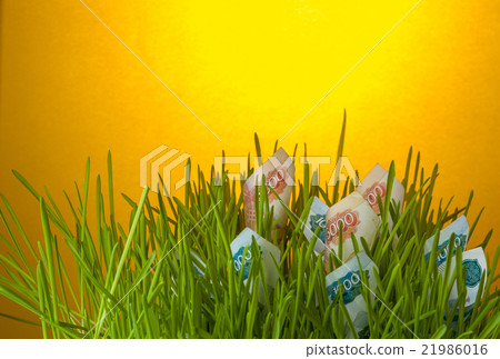Ruble bills in green grass Ruble bills in green grass 21986016