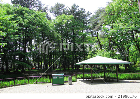 Tsukayama公園野生鳥類森林 Tsukayama公園野生鳥類森林 21986170