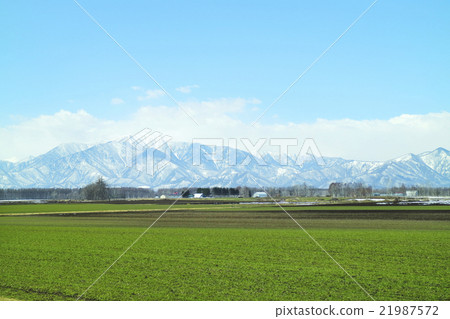 春天日高山脈 21987572