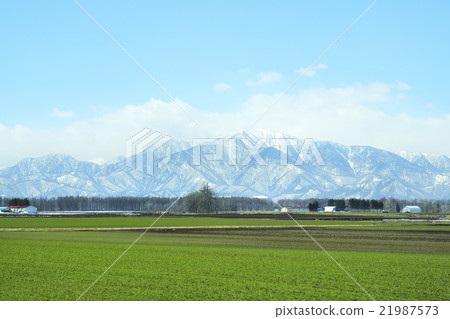 春天日高山脈 21987573