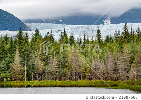 Mendenhall Glacier landscape panorama view 21987665