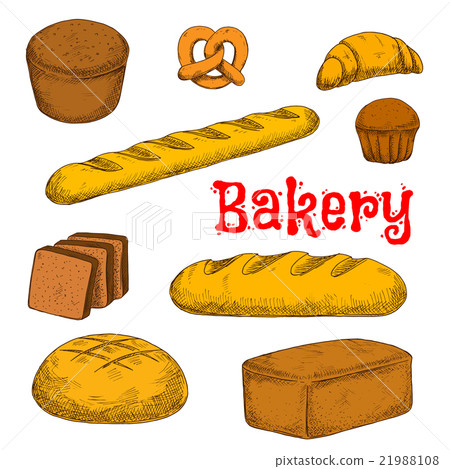 Colorful sketched bakery and pastry products Colorful sketched bakery and pastry products 21988108