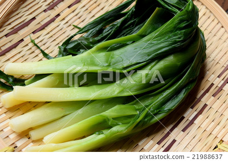 Boiled leaves of Yabu-kanzou 21988637