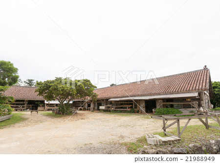 佐藤Yachimun 21988949