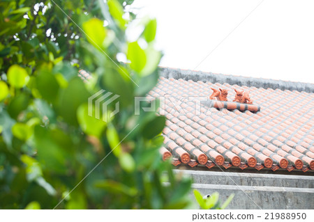 佐藤Yachimun 21988950