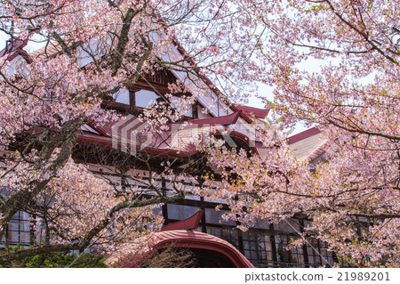 Takato Castle Ruins Park 21989201