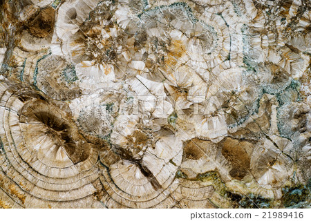 Abstract mineral texture 21989416